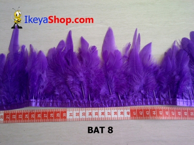 BAT 8  large2